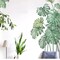 Green Wall Stickers Tropical Palm Leaves Removable PVC Dorm room Decorations